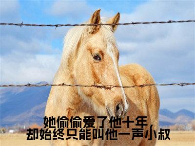 虞恬妤戴修璟(她偷偷爱了他十年,却始终只能叫他一声小叔)免费小说-她偷偷爱了他十年,却始终只能叫他一声小叔全文在线阅读