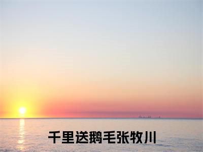 千里送鹅毛张牧川小说全文免费阅读无弹窗-(张牧川阅读无弹窗)穿越小说免费阅读_笔趣阁