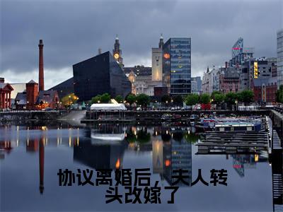 协议离婚后，夫人转头改嫁了（沈曼薄司言）高质量小说免费阅读_协议离婚后，夫人转头改嫁了最新章节列表_笔趣阁