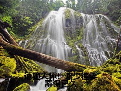 榜单小说诱她入怀!谢少追妻蓄谋已久全文免费阅读无弹窗大结局-谢策温迎全文在线阅读