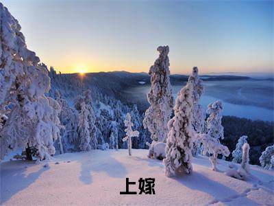 程禧周京臣全文免费阅读大结局上嫁最新章节列表