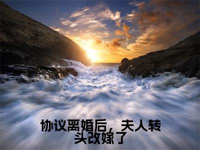协议离婚后,夫人转头改嫁了(沈曼薄司言)精选热门小说-小说(协议离婚后,夫人转头改嫁了)沈曼薄司言全文免费阅读最新章节列表