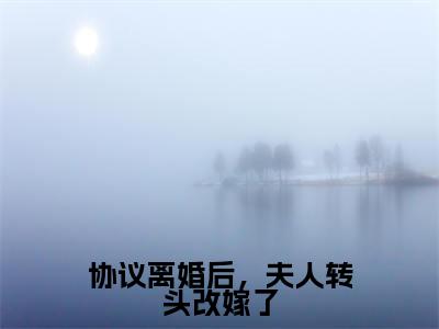 沈曼薄司言小说协议离婚后,夫人转头改嫁了完整版大结局-沈曼薄司言小说完结版在线阅读