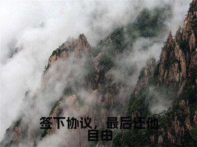 签下协议,最后还他自由(顾凌霄苏轻婳)全文免费阅读无弹窗_签下协议,最后还他自由全文免费阅读无弹窗最新章节列表笔趣阁