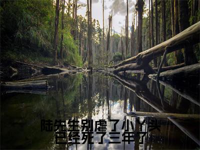 陆先生别虐了小丫头已经死了三年了小说(江小渔陆景庭)全文在线阅读免费大结局_陆先生别虐了小丫头已经死了三年了小说最新章节列表