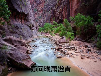 苏向晚萧逸青全文免费阅读-苏向晚萧逸青小说（苏向晚萧逸青）免费阅读全文