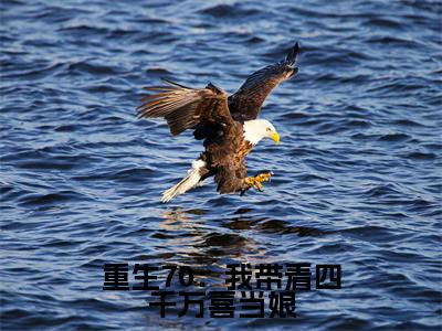重生70：我带着四千万喜当娘全文免费阅读_（刘雅雅免费阅读无弹窗）刘雅雅最新章节列表笔趣阁