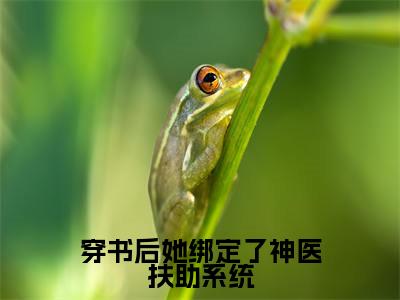 白璃卫长庚全文免费阅读_(穿书后她绑定了神医扶助系统免费阅读无弹窗)白璃卫长庚最新章节列表笔趣阁