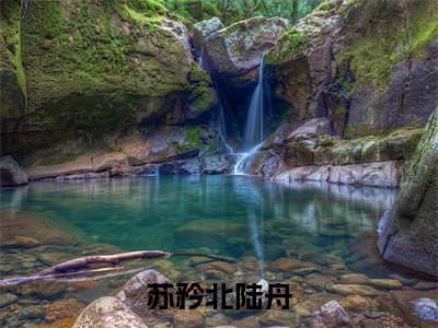 苏矜北陆舟(苏矜北陆舟)全文免费阅读无弹窗大结局_(苏矜北陆舟)免费阅读无弹窗最新章节列表