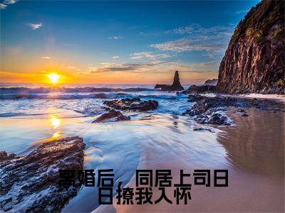 陆屿行季蓁(离婚后,同居上司日日撩我入怀)全文免费阅读无弹窗大结局_陆屿行季蓁免费最新章节列表_笔趣阁