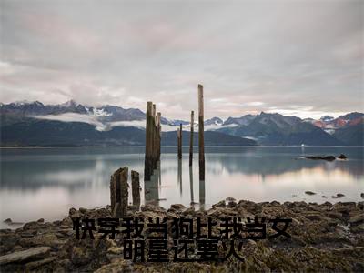 精选热门快穿我当狗比我当女明星还要火全文无删减版在线阅读