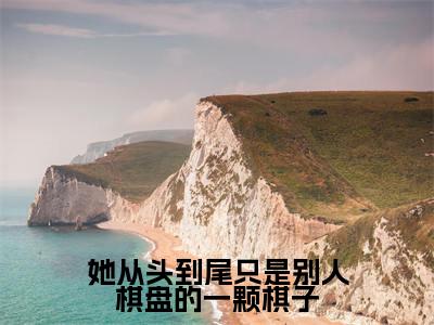 她从头到尾只是别人棋盘的一颗棋子免费小说-（她从头到尾只是别人棋盘的一颗棋子）姜鸢萧厌辞完结版在线阅读