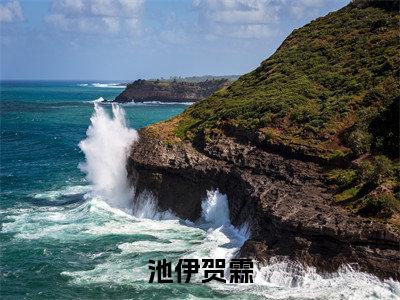 池伊贺霖小说（池伊贺霖）完整版大结局-池伊贺霖小说免费阅读