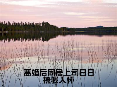 离婚后同居上司日日撩我入怀小说最新试读_陆屿行季蓁是(离婚后同居上司日日撩我入怀免费阅读最新章节列表)_笔趣阁(陆屿行季蓁)