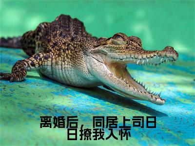 （陆屿行季蓁后续+全集）离婚后，同居上司日日撩我入怀（陆屿行季蓁）小说小说全集陆屿行季蓁无删减在线阅读