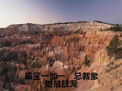 萌宝一加一,总裁爹地放肆宠(蔺商左薇)小说全文免费阅读无弹窗_(蔺商左薇)萌宝一加一,总裁爹地放肆宠小说全文免费阅读最新章节列表笔趣阁