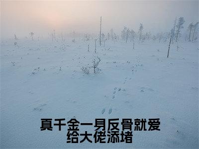 真千金一身反骨就爱给大佬添堵(沈熄季换澜)免费小说-主角沈熄季换澜全文在线完本阅读笔趣阁