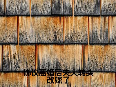 协议离婚后夫人转头改嫁了(沈曼薄司言)免费最新小说_沈曼薄司言(协议离婚后夫人转头改嫁了)免费版今日已更新
