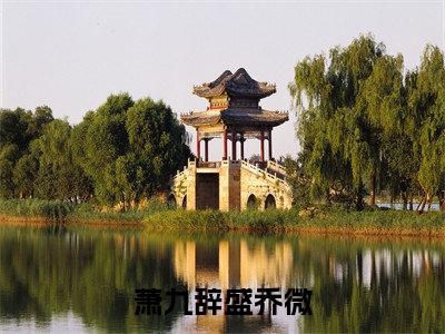 萧九辞盛乔微全文免费阅读大结局_萧九辞盛乔微最新章节列表_笔趣阁(盛乔微萧九辞)