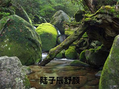 陆子辰舒颜小说(陆子辰舒颜)全文免费阅读-陆子辰舒颜精彩章节在线阅读