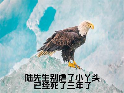 陆先生别虐了小丫头已经死了三年了(江小渔陆景庭)全文免费阅读无弹窗_陆先生别虐了小丫头已经死了三年了完整版最新阅读_笔趣阁(江小渔陆景庭)
