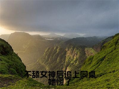 李阳（不舔女神后追上同桌她慌了）全文免费阅读无弹窗大结局_李阳免费最新章节列表_笔趣阁