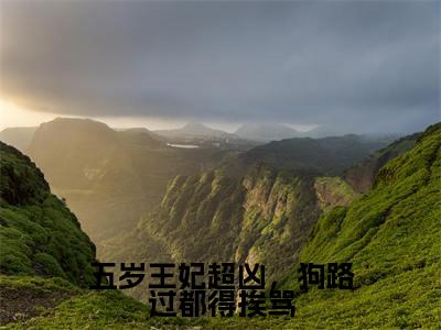 五岁王妃超凶，狗路过都得挨骂小说（司南南凤知忧）全文免费阅读无弹窗大结局_五岁王妃超凶，狗路过都得挨骂小说最新章节列表_笔趣阁
