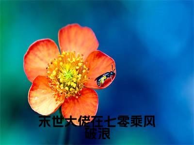 苏黎纪羡之无弹窗(末世大佬在七零乘风破浪)全文免费阅读无弹窗大结局_(苏黎纪羡之无弹窗)末世大佬在七零乘风破浪无弹窗最新章节列表