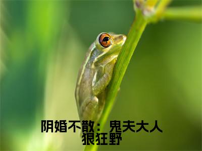 凌安小说(阴婚不散:鬼夫大人狠狂野)全文免费阅读无弹窗大结局_(凌安免费阅读全文大结局)最新章节列表