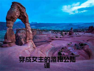 穿成女主的渣相公陆谨小说最新试读_(李安然陆谨免费阅读最新章节列表)_笔趣阁