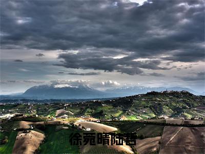 徐菀晴陆哲(徐菀晴陆哲)全文免费阅读大结局_徐菀晴陆哲无弹窗最新章节列表