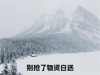 别抢了物资白送小说全文免费阅读无弹窗大结局_别抢了物资白送最新章节列表_笔趣阁
