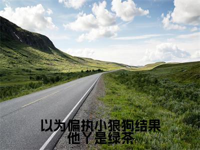 （洛南希墨非白）以为偏执小狼狗结果他丫是绿茶小说免费阅读-小说推荐以为偏执小狼狗结果他丫是绿茶精彩章节在线阅读