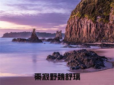 秦寂野魏舒璃精选热门好书-秦寂野魏舒璃(魏舒璃秦寂野)全文无删减版在线阅读