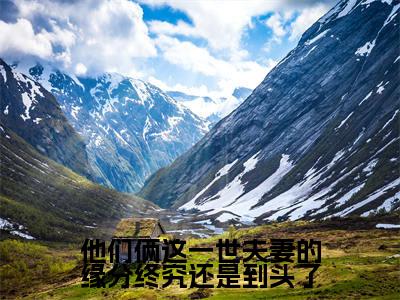 他们俩这一世夫妻的缘分终究还是到头了全文免费阅读无弹窗_（苏崇岳文兰心）全文在线阅读大结局