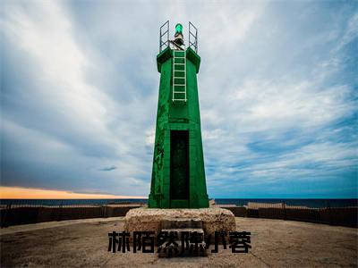 林陌然陈小蓉全网首发最新小说-林陌然陈小蓉全文在线免费阅读
