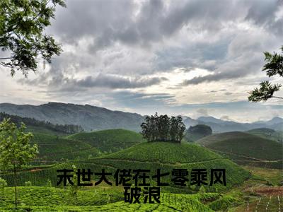 小说名字是：末世大佬在七零乘风破浪小说免费阅读无弹窗，小说名字是：苏黎纪羡之的小说在线阅读无删减