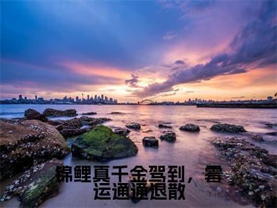 小说苏宁宁许悠悠全文免费阅读无弹窗大结局_锦鲤真千金驾到,霉运通通退散完整阅读