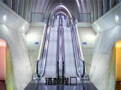 （洛颜程璟）洛颜程璟小说全文免费阅读无弹窗大结局_洛颜程璟（洛颜程璟）最新章节列表笔趣阁