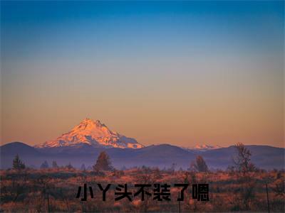 小丫头不装了嗯(严湛严曼殊)全文免费阅读无弹窗大结局_(小丫头不装了嗯)严湛严曼殊最新章节列表_笔趣阁