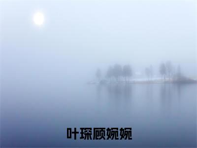 叶琛顾婉婉小说(顾婉婉叶琛)全文免费叶琛顾婉婉阅读无弹窗大结局-(顾婉婉叶琛)笔趣阁