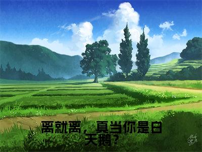 离就离，真当你是白天鹅？小说（叶辰）全文免费阅读无弹窗大结局_（离就离，真当你是白天鹅？）叶辰小说免费阅读最新章节列表