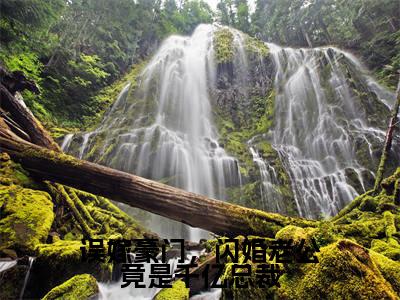 误嫁豪门，闪婚老公竟是千亿总裁免费小说-误嫁豪门，闪婚老公竟是千亿总裁完结版在线阅读