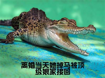 离婚当天她掉马被顶级娘家接回(姜璃裴御年)全文免费阅读无弹窗大结局_姜璃裴御年全文在线阅读