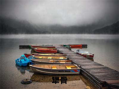 犟骨（沈宜周从谨全文在线阅读）-犟骨小说（沈宜周从谨）免费阅读最新章节列表无弹窗