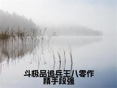 斗极品追兵王八零作精手段强高甜小说最新章节-钟婉凝虞司政全文阅读