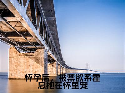 霍见深宋西棠(怀孕后,被禁欲系霍总抱在怀里宠)全文免费阅读_(怀孕后,被禁欲系霍总抱在怀里宠)霍见深宋西棠最新章节列表_笔趣阁