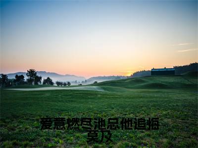 爱意燃尽池总他追悔莫及(余笙池言西)全文免费阅读_(余笙池言西)小说爱意燃尽池总他追悔莫及最新章节阅读