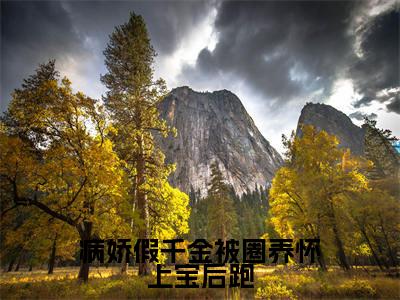 白梦鱼沈听肆（病娇假千金被圈养怀上宝后跑）女生必看小说全集_病娇假千金被圈养怀上宝后跑（白梦鱼沈听肆）全文免费阅读