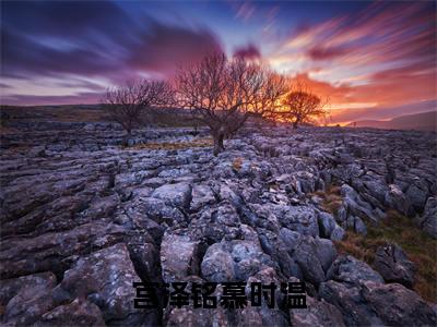 抖音高赞小说宫泽铭慕时温在线阅读慕时温宫泽铭新上现代言情小说推荐